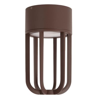 Lucide WELLS - Flush ceiling light Indoor/Outdoor - Ø 10 cm - LED - 1x8W 2700K - IP54 - Rust Brown